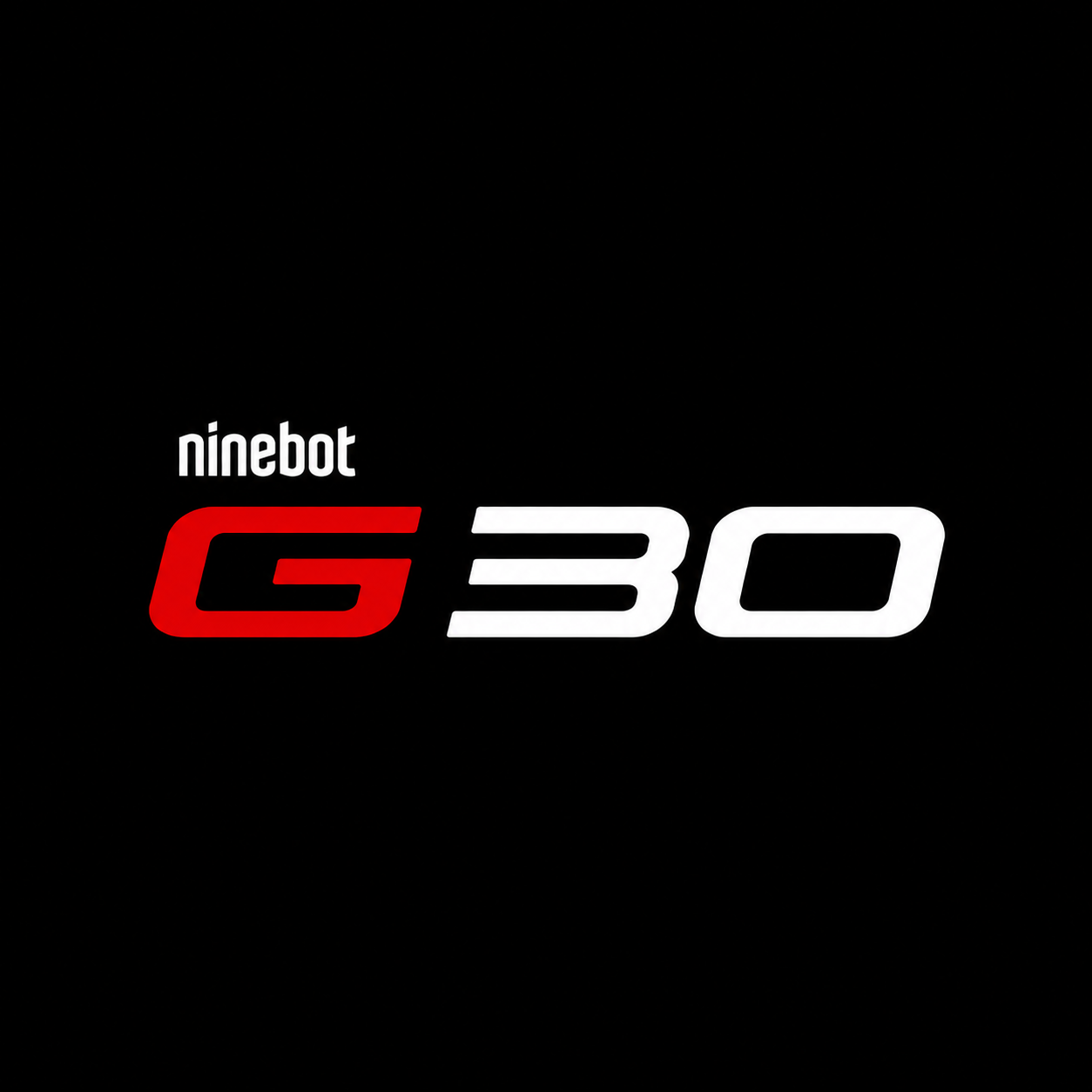 Segway / Ninebot G30
