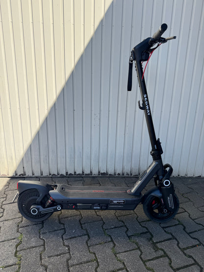 Schwingenaufkleber (Beidseitig)